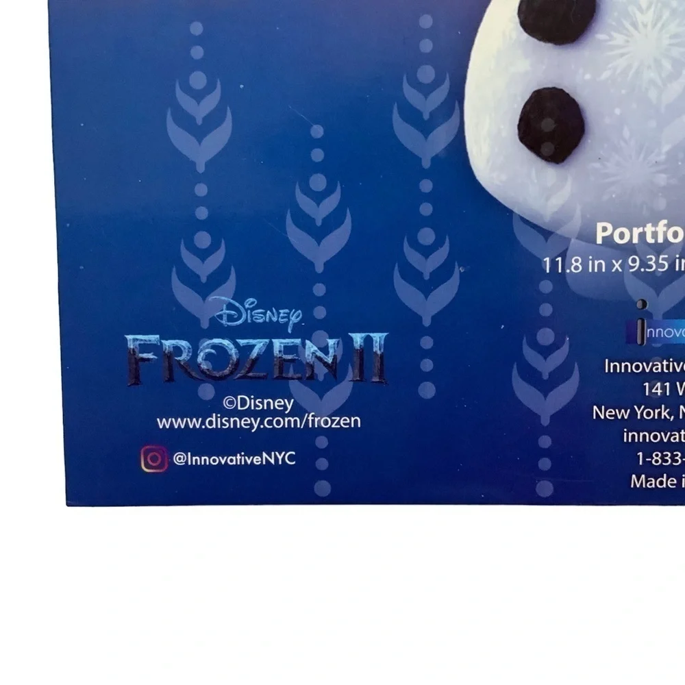 Disney frozen princess